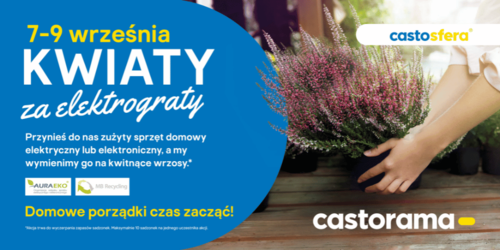 Rozpoczyna się akcja Castoramy "Kwiaty za elektrograty"